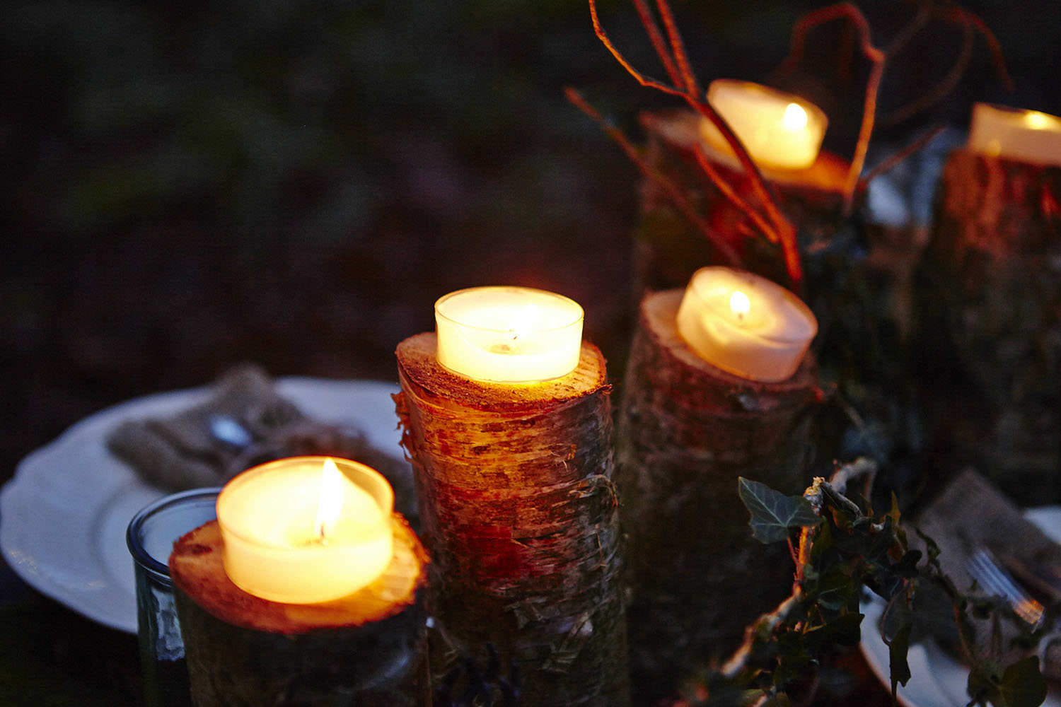 Candles sitting on logs.